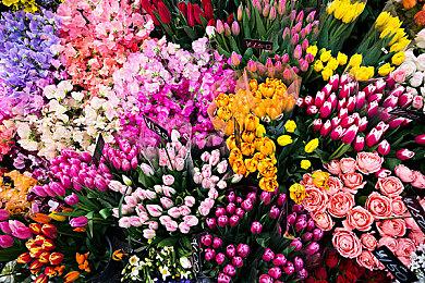 韩国模拟游戏《inZOI》新截图 捏出性感美女玩